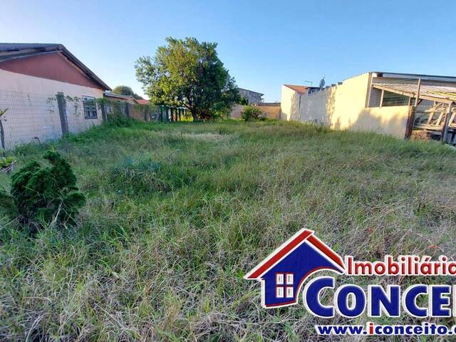 #T208 - Terreno para Venda em Imbé - RS - 3