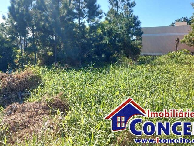#T1035 - Terreno para Venda em Imbé - RS - 3