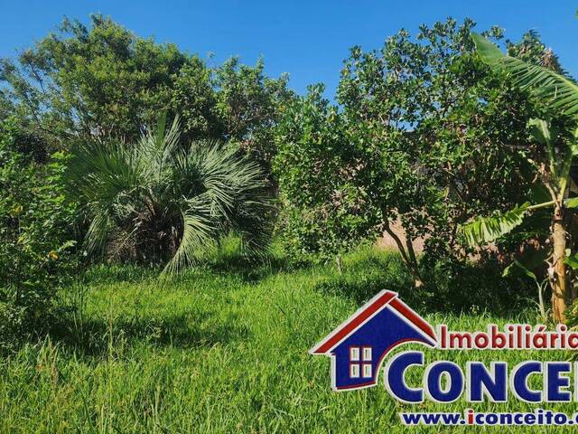 Venda em Mariluz - Imbé