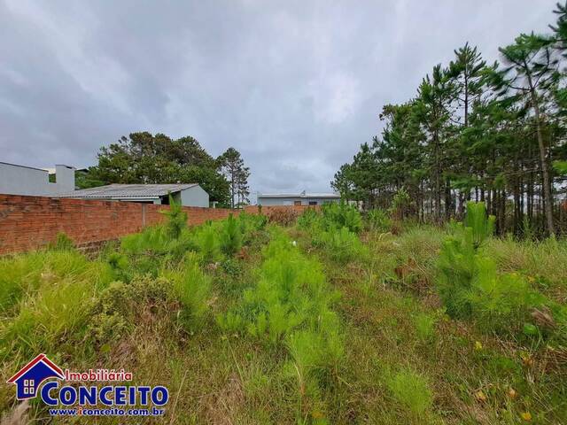 Venda em Centro - Imbé