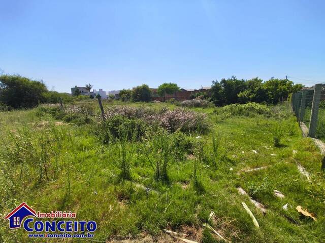 Venda em Nova Nordeste - Imbé