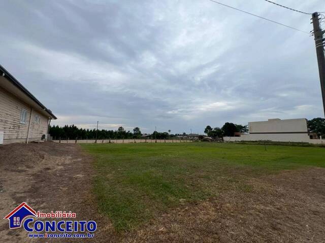 #T1069 - Terreno para Venda em Osório - RS - 3