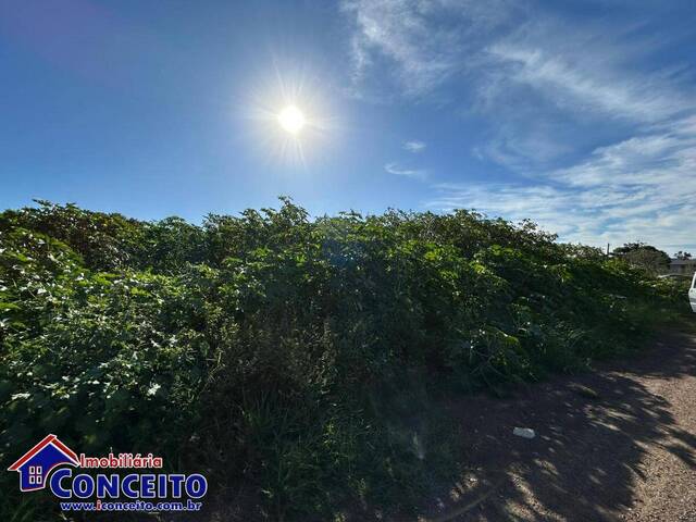 #T381 - Terreno para Venda em Imbé - RS - 2
