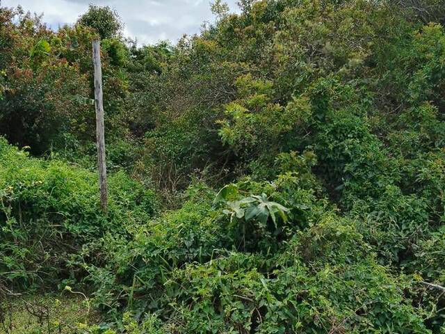 #T1008 - Terreno para Venda em Tramandaí - RS - 3